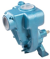 ALPHA 01.1/2RA-1.1/2"RECHTSDR. Eenheid type	STUK
omschrijving	Alpha O1½RA-1.1/2" rechtsdraaiend